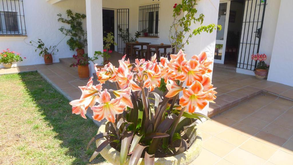 Hotel Casa Fina - Adults Recommended Conil De La Frontera Dış mekan fotoğraf