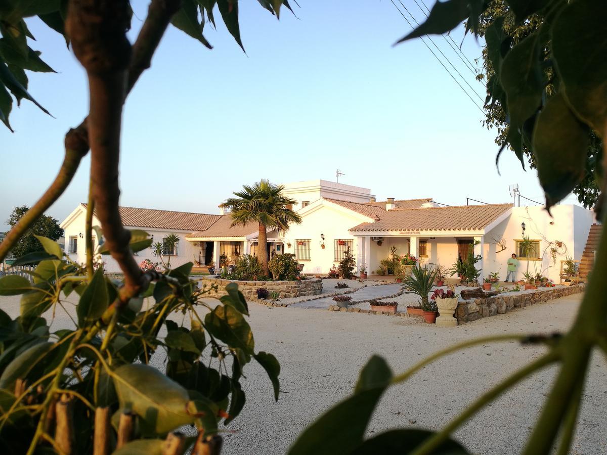 Hotel Casa Fina - Adults Recommended Conil De La Frontera Dış mekan fotoğraf